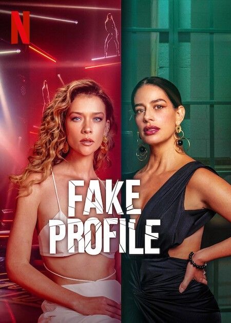 (18＋) Fake Profile (2025) Season 2 Hindi Dubbed Complete Netflix Series download full movie
