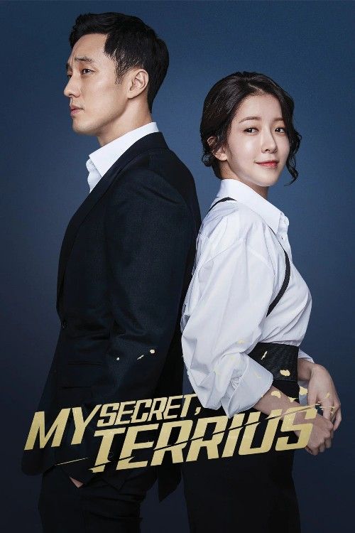 My Secret Terrius (2018) Season 1 (Episode 01-16) Hindi Dubbed K-Drama Series download full movie